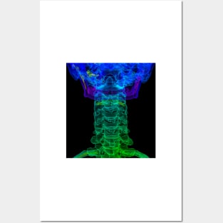 Cervical spine anatomy, 3D CT scan (C034/5265) Posters and Art